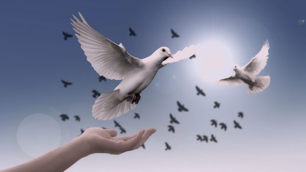 Finding the Lightness of the Etheric Back