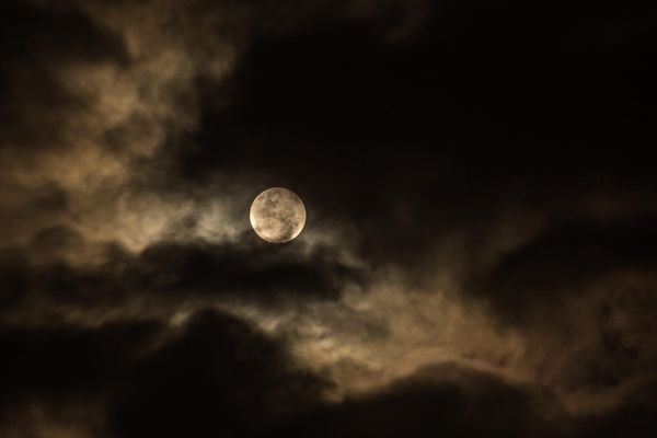 The Moon Beings, Telepathy, and Automation