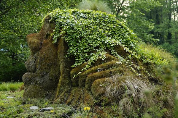 Giants and Cryptids: The Footprints of an Elementär Past