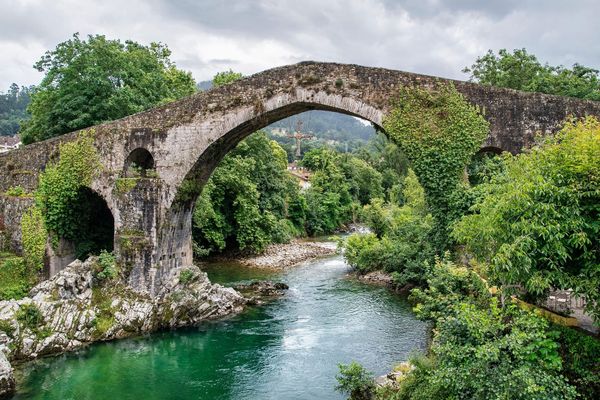The Bridge That Breaks The Cycle