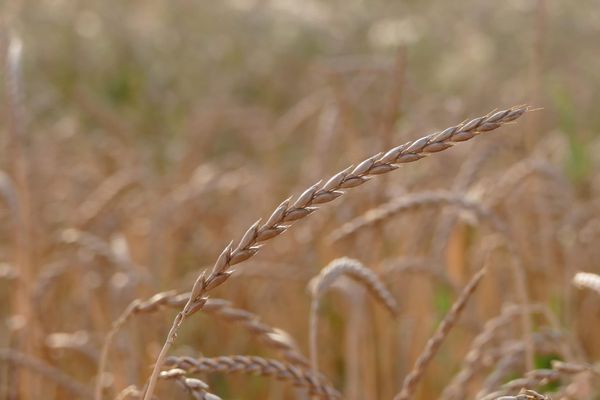 How a Macro-Cosmic Perspective allows Restructuring Society