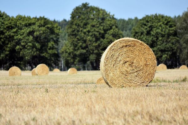 Modern Regenerative Agriculture and Biotechnology