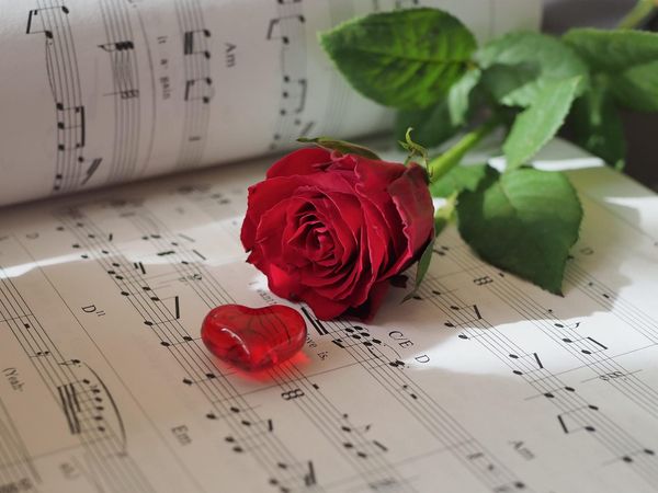The Flexner Report and the Romantic Rebellion