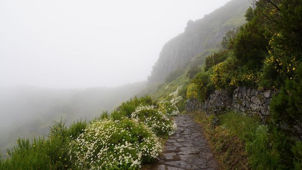 Steiner's Path to Spiritual Perception
