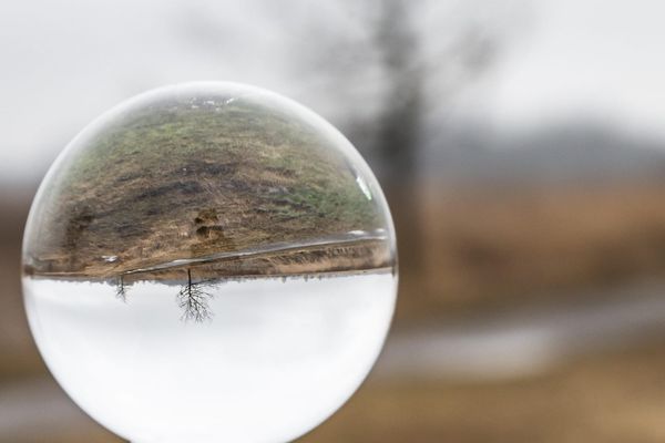 Steiner's Clairvoyance Exercise on Processes of Growth and Decay