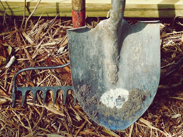 The Illusion of Labor: Muscle vs. Mind