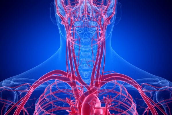 "혈관 나이 바로 알고 심뇌혈관질환 예방해요"