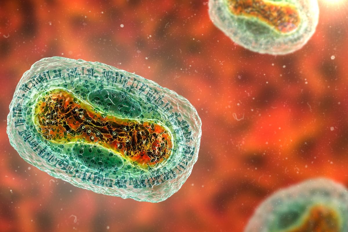 어린이집 4곳 실내환경 바이러스 조사 결과 발표