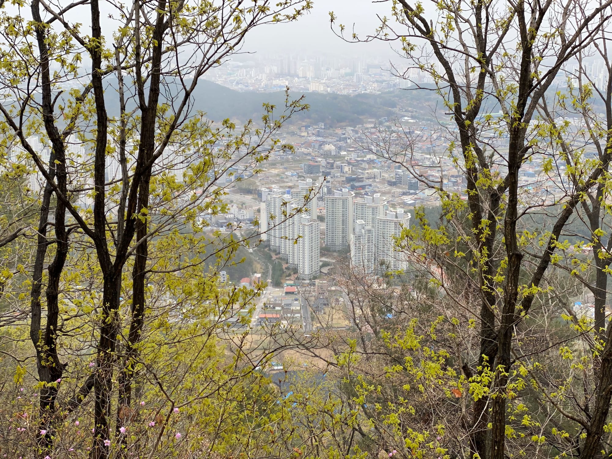 대전시, 5개 자치구 개발제한구역 관리실태 점검