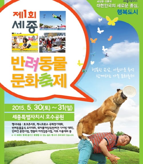 세종, 대전 주말 문화·가족 행사