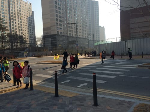 “초등학교 대상 학구위반 조사”