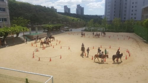 한솔고등학교, 이색수업 ‘찾아가는 승마교실’ 열어