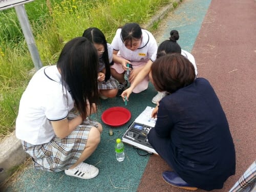 조치원여자중학교, 지역하천 사랑을 위해 구슬땀