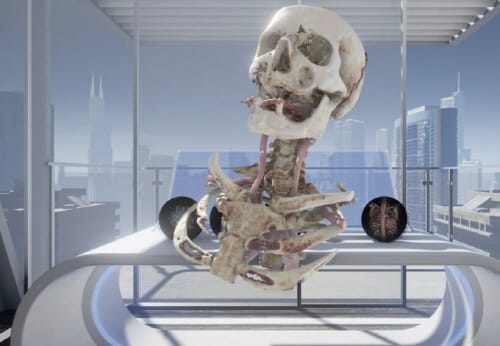 “VR 기술로 인체 내부를 살펴본다”