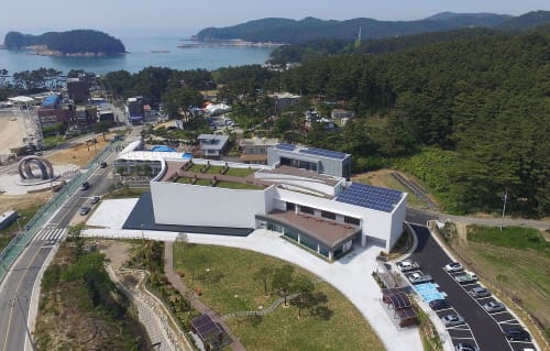 함께 살린 서해 바다, 희망으로 돌아오다