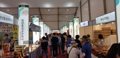 첫 주말 맞이한 금산세계인삼엑스포, 관람객 북적