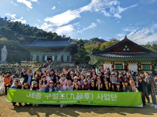 세종시 ‘영평사구절초축제’ 연계 관광열차 호평