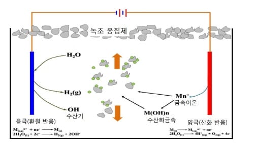 하천 골칫거리 녹조, 친환경 전기응집-부상 기술로 잡는다