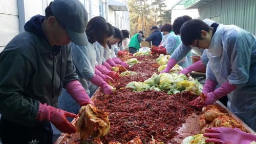 연기면 사랑의 김장나누기