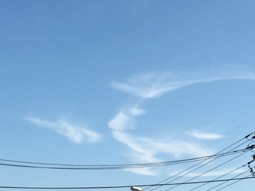 SNS 오늘의 포토 에세이