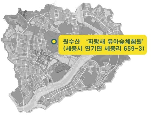 행복도시 ‘파랑새 유아숲체험원’ 동절기 참가 모집