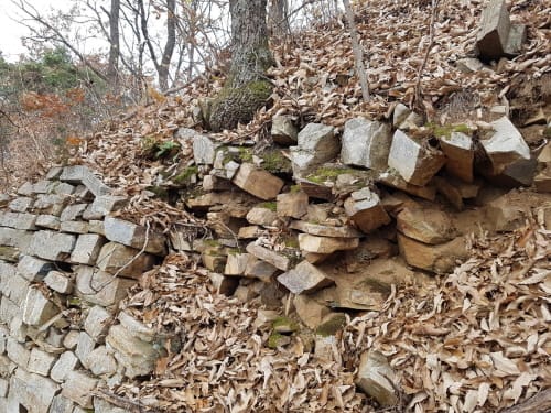 대전시, 주요 산성 수목 정비사업 실시