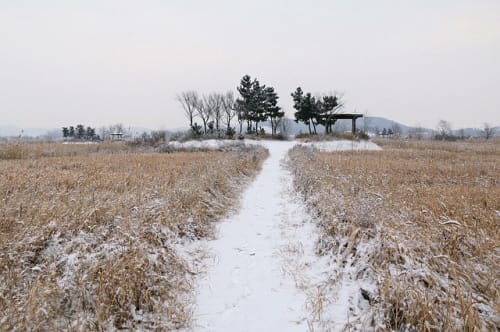 대전시, 조상 땅 찾기 서비스 인기 좋네~