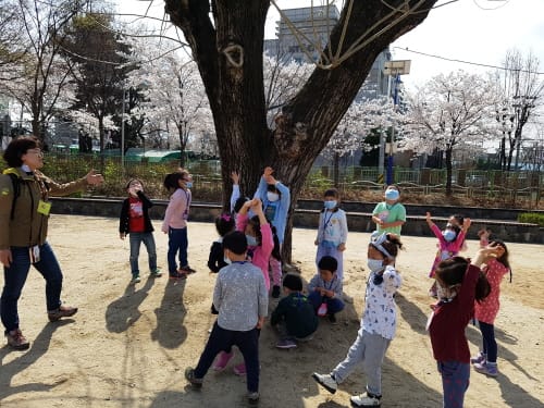 대전유아교육진흥원, 찾아가는 더불어 숲 체험 운영