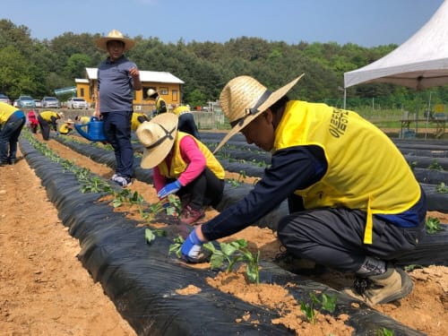 아름동, '행복 나눔 텃밭’ 조성