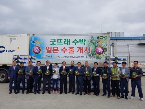굿뜨래수박 일본 소비자 공략