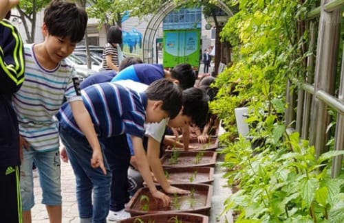부여군 친농연, 학교 모내기 체험 행사 추진