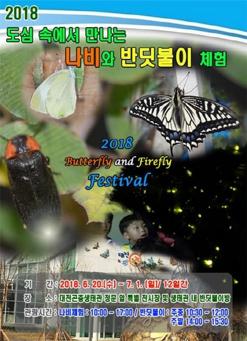 도심 속에서 만나는 나비와 반딧불이