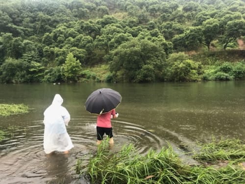 “참게, 다슬기야 은산면에서 잘 크렴”
