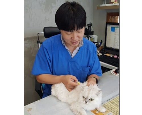 세종시, 고양이 동물등록 시범사업
