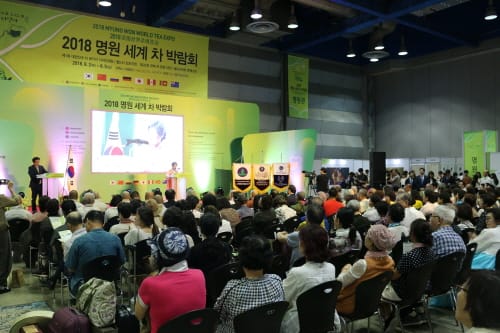 ‘폭염으로 더운 여름, 녹차로 피서’