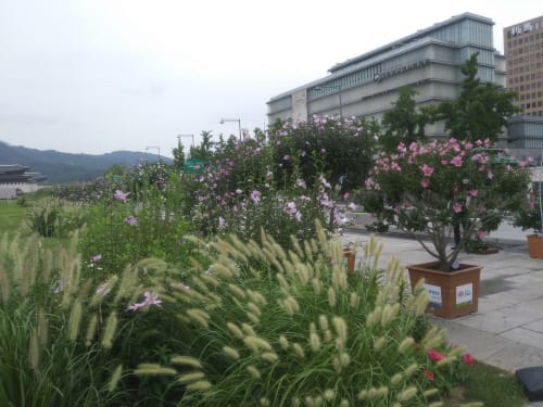 충남 무궁화 ‘전국 3위’ 은상 수상