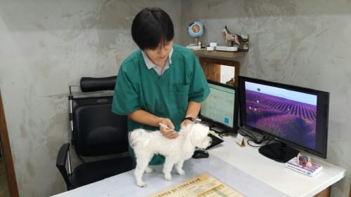 “가을철 광견병 무료 예방접종 동참해주세요”