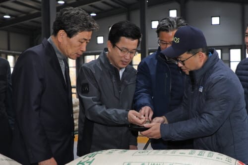 대전시, 공공비축미곡 592톤 매입 시작