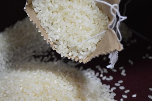 세종시 `최고의 밥 맛 좋은 쌀` 경진대회 개최