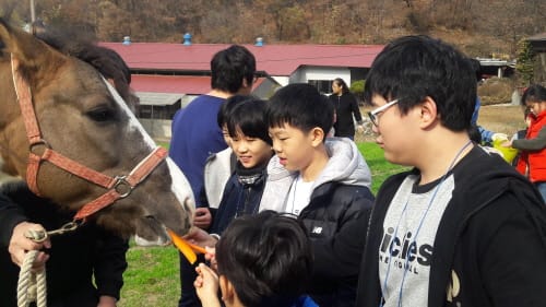 세종시교육청, 장애학생 승마체험 프로그램 운영