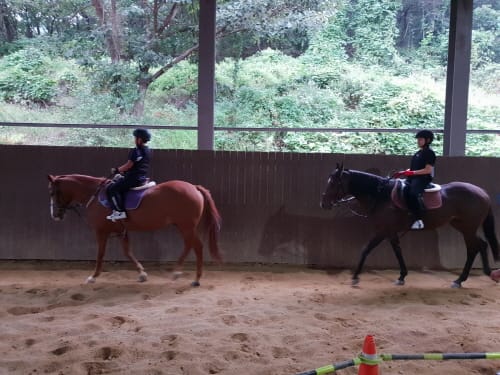 ‘승마로 집중력 키운다’ 청소년 참가자 모집