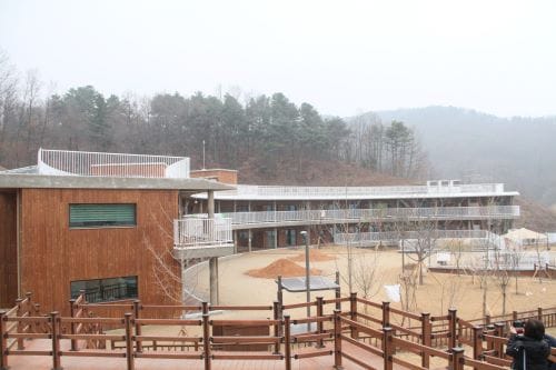 세종시교육청, 첫 숲유치원 개원