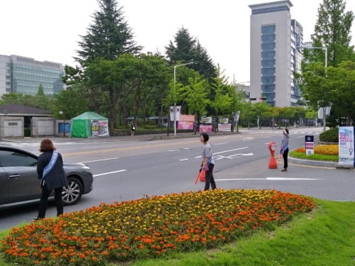 대전시, 한달에 한번 자가용 승용차 쉽시다!
