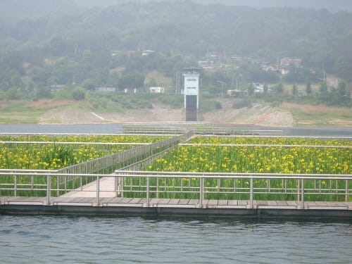 대전 상수도, 안전한 수돗물 생산에 총력
