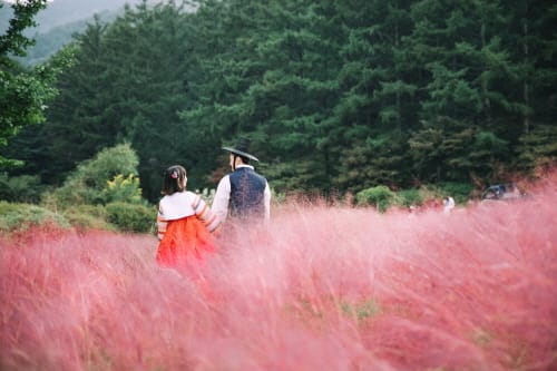 아침고요수목원, 한복 이벤트 ‘한복여행’ 개최