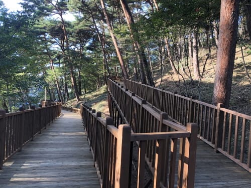 안면도 자연휴양림 ‘무장애 나눔길’ 준공