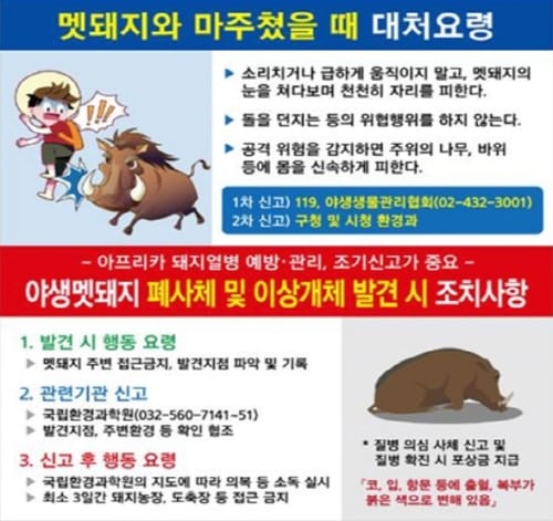 대전시, 야생동물 피해예방 ‘팔 걷어’