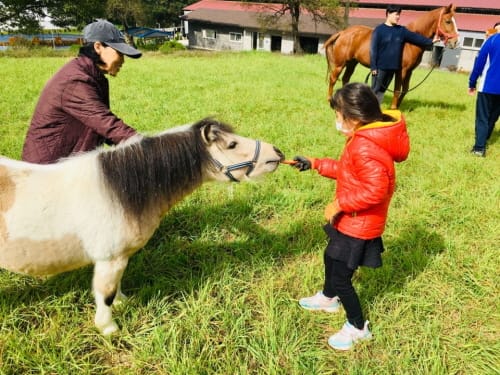 시원하고 맑은 가을, 말 타고 스트레스 날리자~!