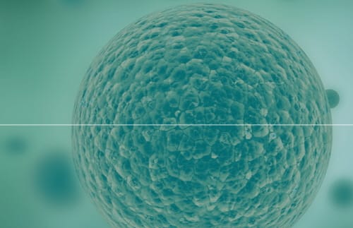 무균공정 위한 ‘세포 회수용 튜브 및 주사 키트’ 특허 등록