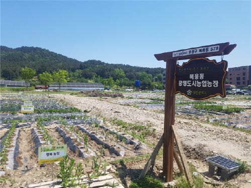 도시텃밭에서 건강과 행복을 키워보세요~